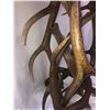Image 6 : Custom Made Elk Antler Bar Stools
