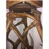Image 7 : Custom Made Elk Antler Bar Stools