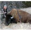 Image 7 : 2 Day Bull Bison Hunt in New Mexico for 1 Hunter with Rancho De Chavez
