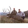 Image 9 : Mule Deer Hunt in Colorado Unit’s 77, 78 & 771 for 1 hunter Non-Guided; Opportunity to Add Elk. Do i