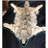 Image 14 : Alaskan Gray Wolf Pelt Rug