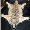 Image 1 : Alaskan Gray Wolf Pelt Rug