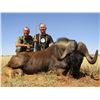 Image 12 : 1 Cape Buffalo Cow,1 Sable Bull, 1 Black Wildbeest, 1 Red Hartebeest 6 Day Safari in South African f