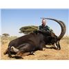 Image 5 : 1 Cape Buffalo Cow,1 Sable Bull, 1 Black Wildbeest, 1 Red Hartebeest 6 Day Safari in South African f