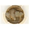 Image 2 : 1918 BUFFALO NICKEL PCGS VERY GOOD 08