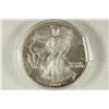 Image 1 : 2004 AMERICAN SILVER EAGLE UNC