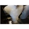 Image 2 : 2 LARGE MALE MANNEQUIN TORSO ON STANDS