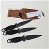 Image 1 : 3 THROWING KNIVES