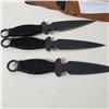 Image 2 : 3 THROWING KNIVES