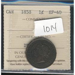 1858  ICCS EF40  a nice  chocolate brow