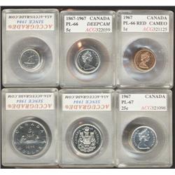 Large lot of 64 modern ACG graded coi