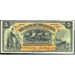 The Nicest we have ever seen!  The Ba