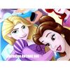 Image 3 : 50cm Disney Princess 3D/Bell, Ariel, Rapunzel etc Comic Wall