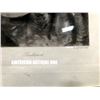 Image 3 : 43cm A. Wollander/D. Appleton & Company