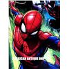 Image 3 : 50cm Spider-Man Marvel/Campus Board
