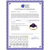 Image 2 : Genuine 4 ctw Amethyst Ring 14KT Yellow Gold - REF-38T5A