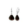 Image 1 : Genuine 17 ctw Garnet Earrings 14KT White Gold - REF-48R9P