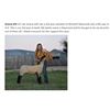 Image 1 : Gill, Gracie - Market Lamb