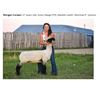 Image 1 : Corean, Morgan - Market Lamb