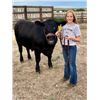 Image 2 : Elly Anderson - Beef - Weight: 1360