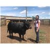 Image 2 : Kailey Crowder - Beef - Weight: 1250