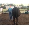 Image 1 : Haden Hellie - Beef - Weight: 1310