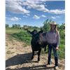 Image 2 : Shaylee Hines - Beef - Weight: 1070