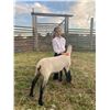 Image 2 : Sadie Lamoreau - Sheep - Weight: 130