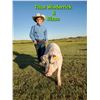 Image 2 : Titus Wiederrick - Swine - Weight: 289