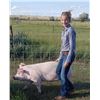 Image 2 : Kendall Clausen - Swine - Weight: 262