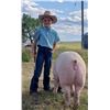 Image 2 : Beckett Squires - Swine - Weight: 276