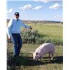 Image 2 : Connor Clausen - Swine - Weight: 268