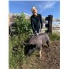 Image 1 : Layla Messerly - Swine - Weight: 292