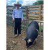 Image 2 : Hoyt Mahan - Swine - Weight: 292