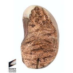 Future Man (TV) – Prop All-Bean – FM540