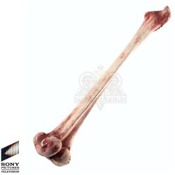 Future Man (TV) – Stegosaurus Femur Bone – FM467