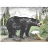 Image 1 : 1920's Black Bear Color Lithograph Print