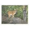 Image 2 : 1920's Bobcat Color Lithograph Print