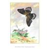 Image 2 : 1920's Red-Spotted Purple Butterfly Color Lithograph Print