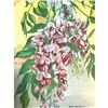 Image 3 : Wisteria, 1926 The Nature Library Color Illustration, Lithograph Print