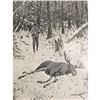 Image 1 : Early 1900's Half-Tone Print, A. B. Frost, The Bull Moose, Hunting