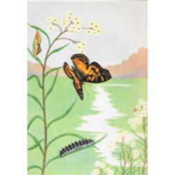 1920's Painted Beauty Butterfly Color Lithograph Print