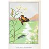 Image 2 : 1920's Painted Beauty Butterfly Color Lithograph Print