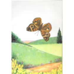 1920's Buckeye Butterfly Color Lithograph Print