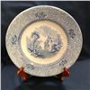 Image 1 : 19thc. Gothic Ironstone Davenport Blue Transferware Plate
