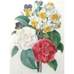 After Pierre-Jospeh Redoute, Floral Print, #13 Bouquet de Camelias, Narcisses et Pensees