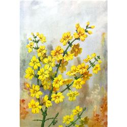 Jasmine, 1920's Color Liithograph Print