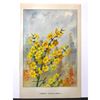 Image 2 : Jasmine, 1920's Color Liithograph Print