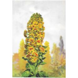 Mignonette, 1920's Color Lithograph Print