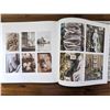 Image 9 : Book SWANSTOCK Fine Art Photography